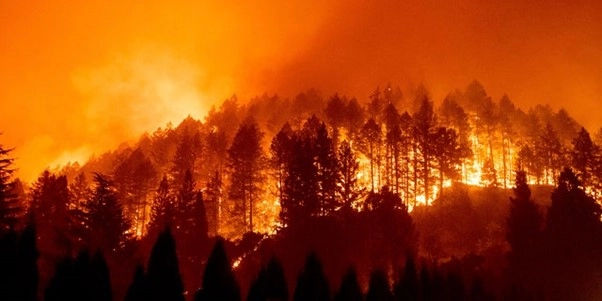 California fire situation escalates due to dry vegetation and extreme winds California fire situation escalates due to dry vegetation and extreme winds